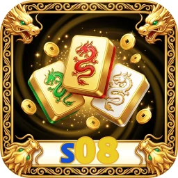 s08
